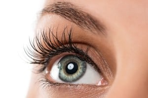 eyes